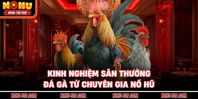 Kinh Nghiệm Săn Thưởng Đá Gà Từ Chuyên Gia NỔ HŨ